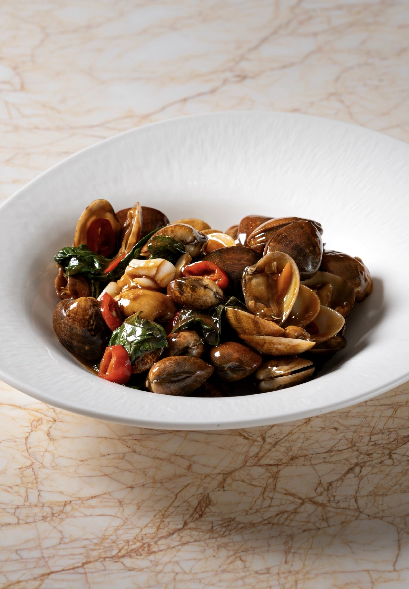 Asari Clam